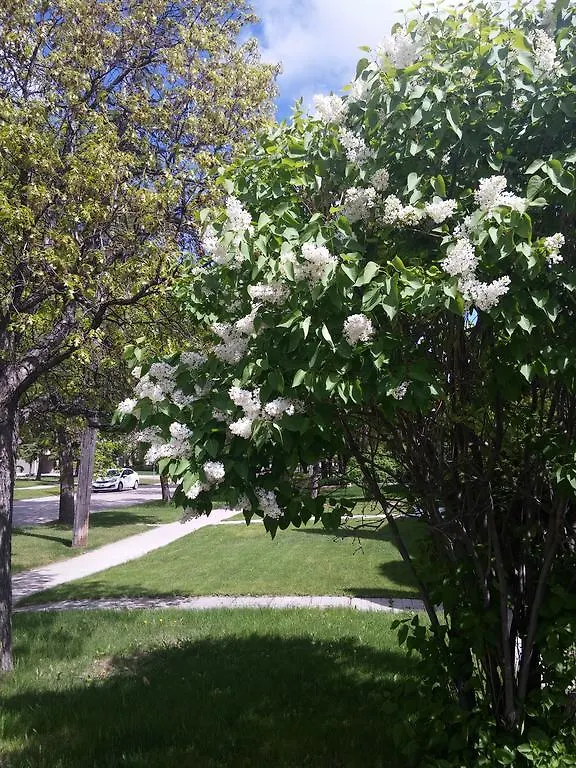 Winnipeg Homestay 0*,